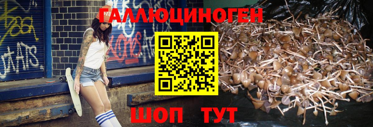 Псилоцибиновые грибы мухоморы  дарнет шоп  Сарапул  Вход с VPN 