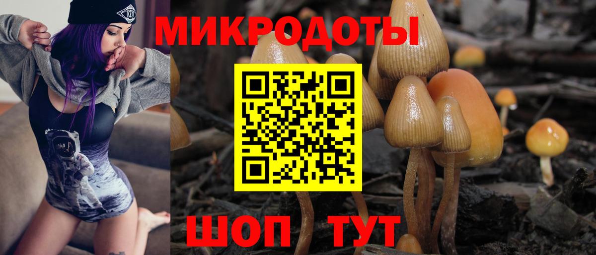 Галлюциногенные грибы прущие грибы Сарапул